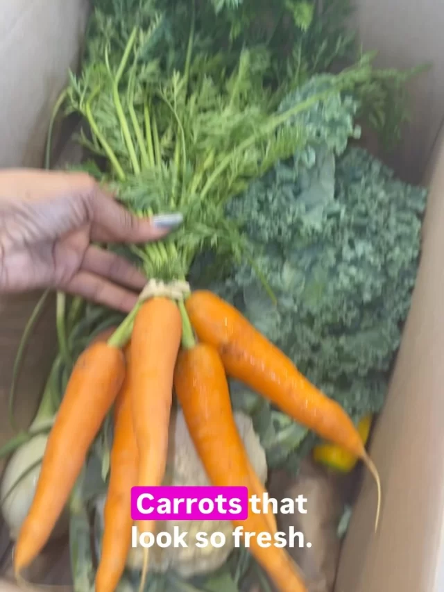 ✨🥕 What’s in your box… could change your health. 🥕✨
.
For anyone who has followed @myhungryworld over the years, you know I haven’t always been mindful of where my food came from 🙈. But as God has blessed me to mature, I now desire to live a healthier, intentional life. After all, we all want the best quality of life the universe has to give. 🌱
.
🍑 Why Farm to People?

The current food supply chain is:
❌ Costly, inefficient, wasteful
❌ Produce travels 1,500 miles & 12 days after picking, losing 50% of its nutrients
❌ Sprayed with pesticides or injected with chemicals
❌ 67% of Americans don’t trust their food’s safety
❌ Under this administration, we’ve lost key agencies that notify us of recalls

Our health has become the trade-off for Big Ag’s profits.
.
✨ Farm to People’s mission:
Make clean, local, great food accessible to ALL New Yorkers, conveniently.
✅ A supplement or alternative to farm stands, CSA’s, & markets
✅ No upfront fees or large commitments
✅ Deliveries on your schedule
✅ Supporting small, local farms using sustainable practices
.
Eating sustainably shouldn’t be a privilege; it should be a no-brainer.
.
🥕 What’s in my box this month? (Arrived June 29, 2025):
.
📦 The Cook’s Box - Paleo (9-11 items)
🍗 Bone-in, Skin-on Chicken Thighs (0.7-1 lb)
🥩 Ground Beef (1 lb)
🍑 Organic East Coast Yellow Peaches (2)
🧄 Organic Garlic Scapes (4 oz)
🥕 Bunched Orange Carrots
🥒 Organic Gold Zucchini (2)
🥦 Organic Cauliflower (1 head)
🌿 Organic Fennel (1 head)
🥬 Organically Grown Green Kale (1 bunch)
.
This journey is about living well, eating intentionally, and supporting local farmers while protecting your health and our community 🌾💚.
.
✨ Would you try a farm box?
✨ What’s one produce item you always want fresh & local?
.
Drop it below 🫶🏾⬇️ so we can inspire each other to eat better, live better, and love our bodies a little more each day.
.
#FarmToPeople #EatLocal #FarmFresh #SustainableLiving #MyHungryWorld #Foodie #BrooklynEats #FarmBox #HealthyLiving #SupportLocal #OrganicFood #CSA #MindfulLiving #FoodSovereignty #BlackWellness #HealthIsWealth